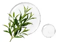 0fac83c27e35608c208358063e9034f2 (5).webp