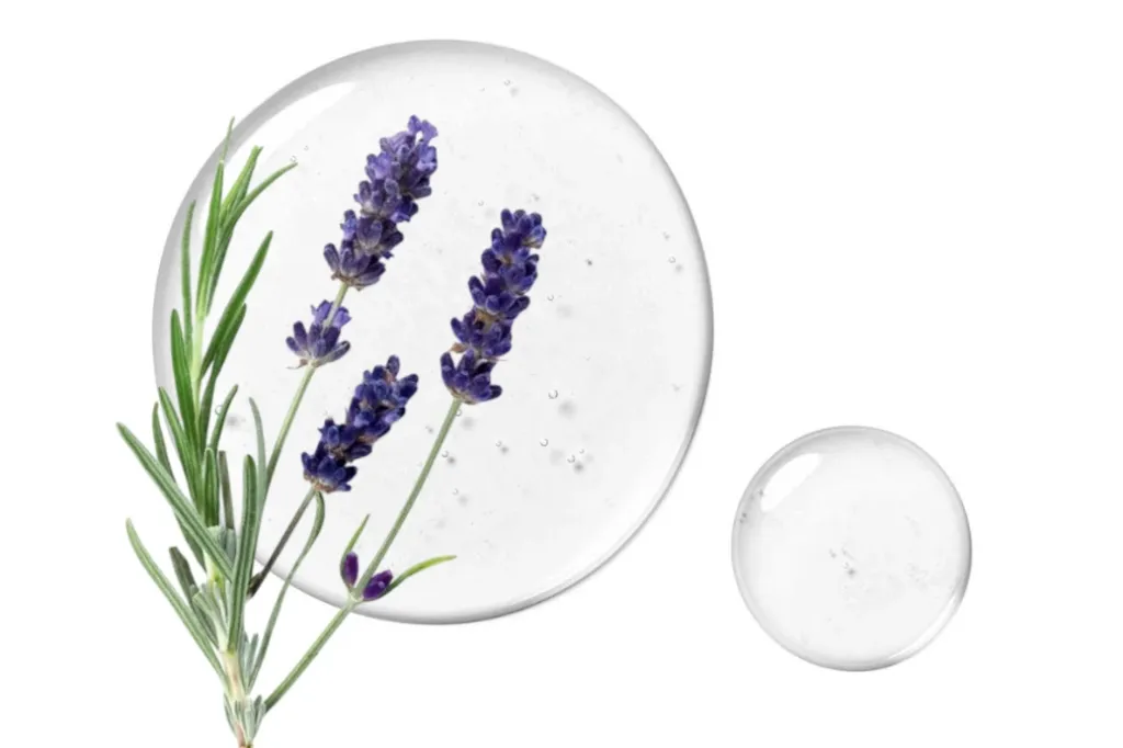 0fac83c27e35608c208358063e9034f2 (3).webp